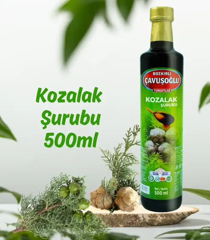 Çavuşoğlu%20Kozalak%20Şurubu%20Servi%20Kozalağı%20Şurubu%20500ml%20x%2012